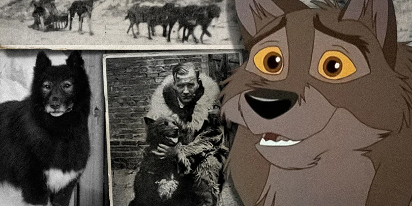 5 Famous Animals Who Etched Their Names in History