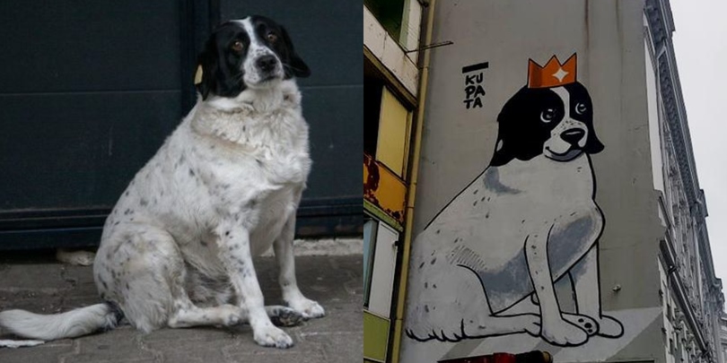 A dog named "Kupata" that helps children cross the road was painted on the wall of a building in Batumi.
