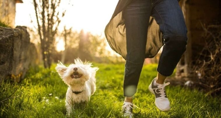 How having pets affects our mental and physical health