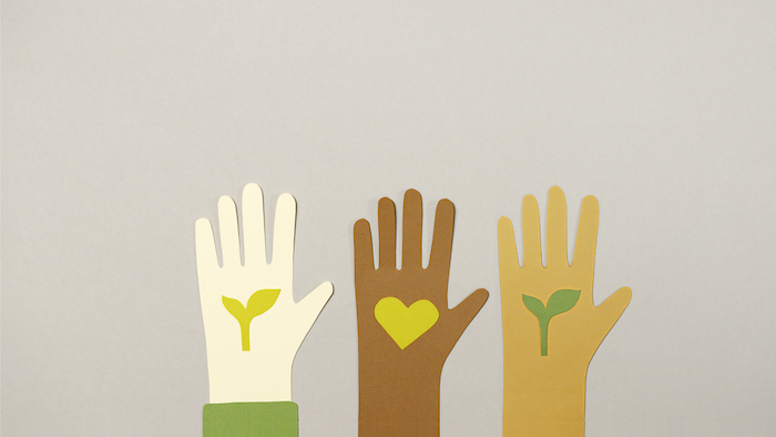5 big international brands that put great focus on protecting the environment